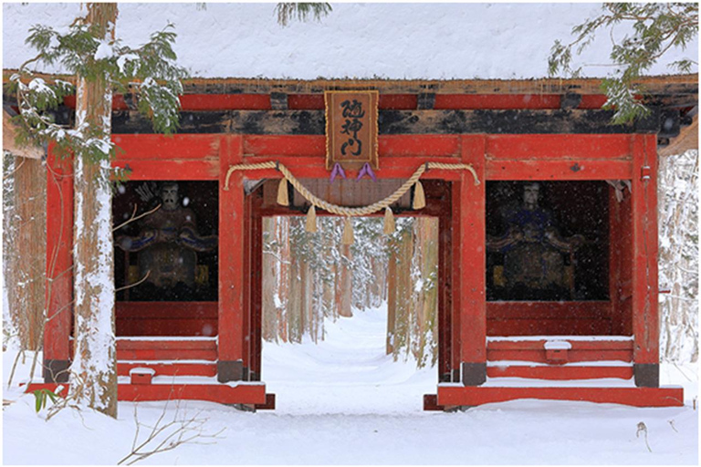 Tokyo: Nagano Snow Monkeys or Shrine or Snow Hut Day Trip Package 2: Togakushi Shrine Itinerary