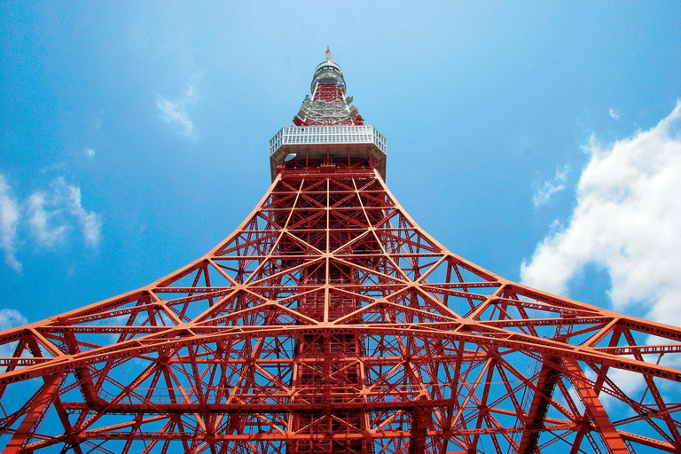 Tokyo : Tour di un giorno intero in autobus con pranzo a buffet e cerimonia del tèPartenza da Shinjuku