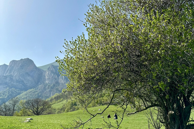 La vida del pueblo y una de las famosas montañas de Armenia