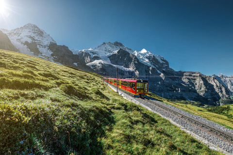 Geneva: Private Tour to Interlaken, Grindelwald & Jungfrau Geneva: Private tour to Interlaken, Grinderwald & Jungfrau