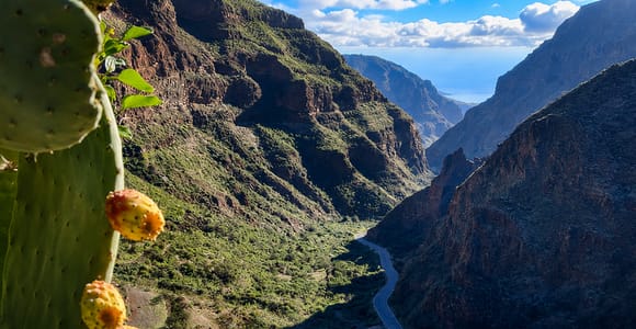 Gran Canaria: Guayadeque Ravine Trekking and Canarian Food in Ingenio