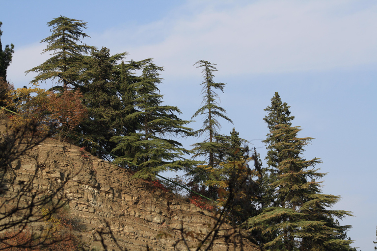 تبليسي: جولة في أساطير وخرافات ماتسمينداتجربة سفر خاصة