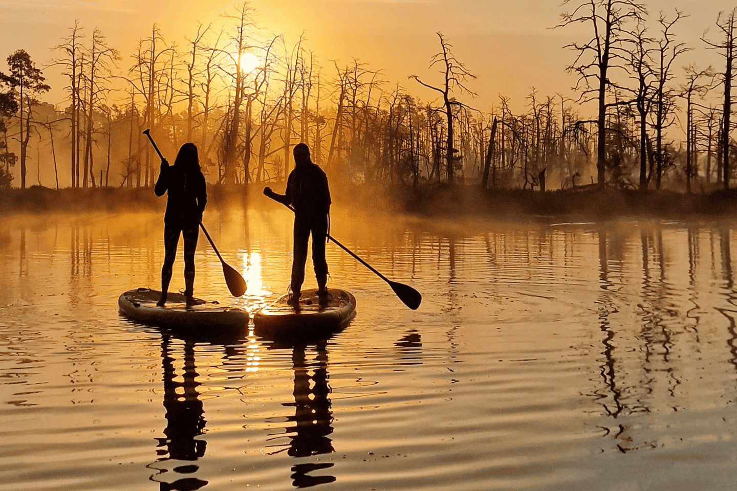 리가 출발: 픽업 포함 일출 카약 또는 패들보드 투어