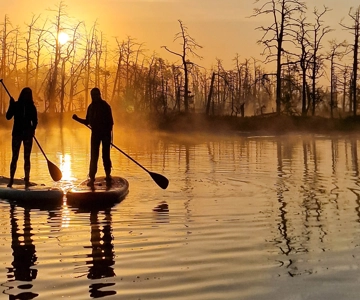 From Riga: Sunrise Kayak or Paddleboard Tour with Pick-Up