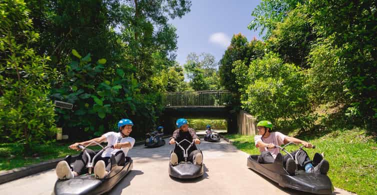 Singapore: Skyline Luge Sentosa Entry Ticket photo 6
