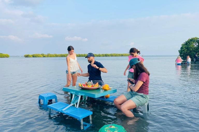 From Negombo: Boat Tour of Negombo Lagoon