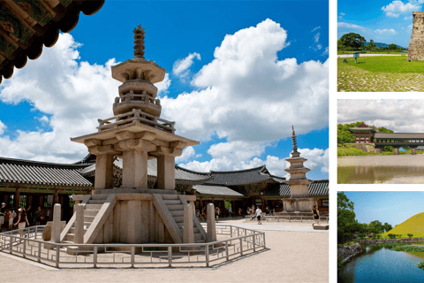 Tour privato dell&#039;UNESCO di Gyeongju con biglietti