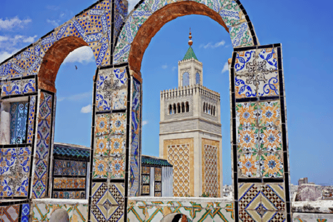 Van Hammamet naar het erfgoed van Tunesië: Carthago en Sidi Bou Said