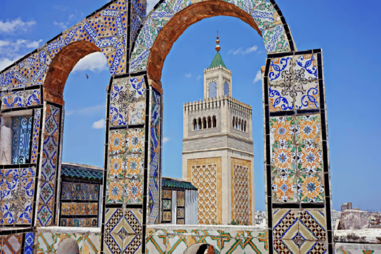Hammamet to Tunisia’s Heritage: Carthage & Sidi Bou Said