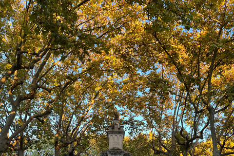 Uzès: Stories, Alleys, and Secrets of the Duchy Uzès: Stories, Alleys, and Secrets of the Duchy / Private Tour