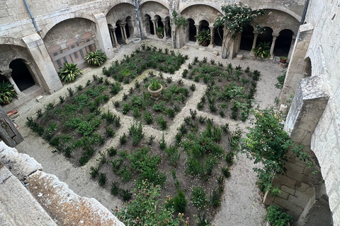 A essência da Provence: Avignon, St Rémy, les Baux, ArlesAvignon, St Rémy, Arles, les Baux - PRIVATIVO