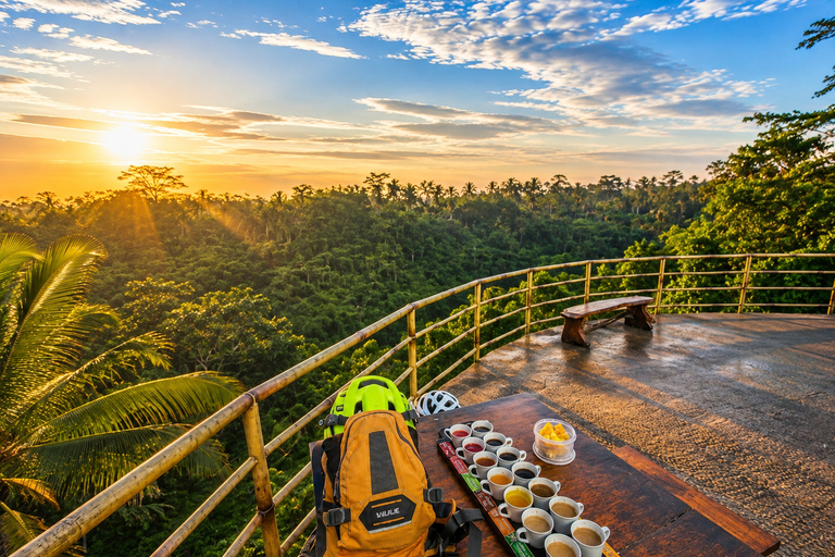 Ubud: Buggy Adventure with Meal, Heaven Swing & Koi Boat Transportation only