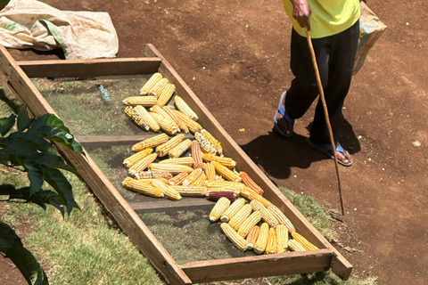 Moshi/Arusha: Chemka Hot Springs Materuni Waterfall Day tour 2 in 1 : Materuni & Chemka tour from Moshi