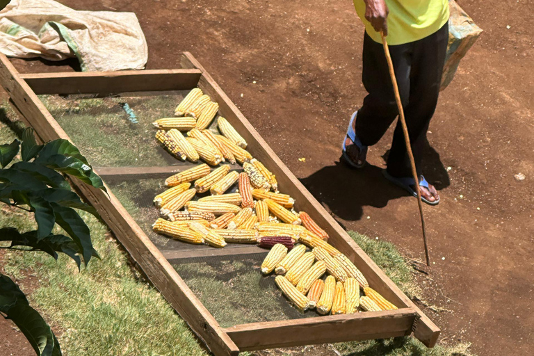 Moshi/Arusha: Chemka Hot Springs Materuni Waterfall Day tour 2 in 1 : Materuni & Chemka tour from Moshi