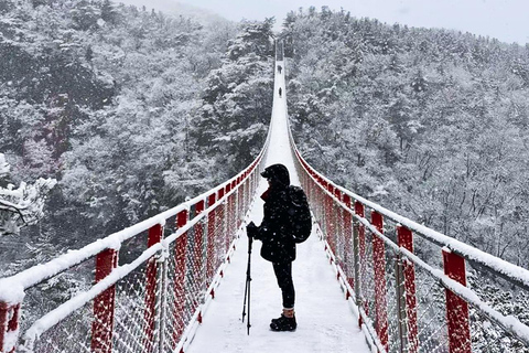 Gamaksan & IceWall Cafe & Eunpyeong HanokVillage & Jingwansa Depart from Hongik Univ. Station Exit 3