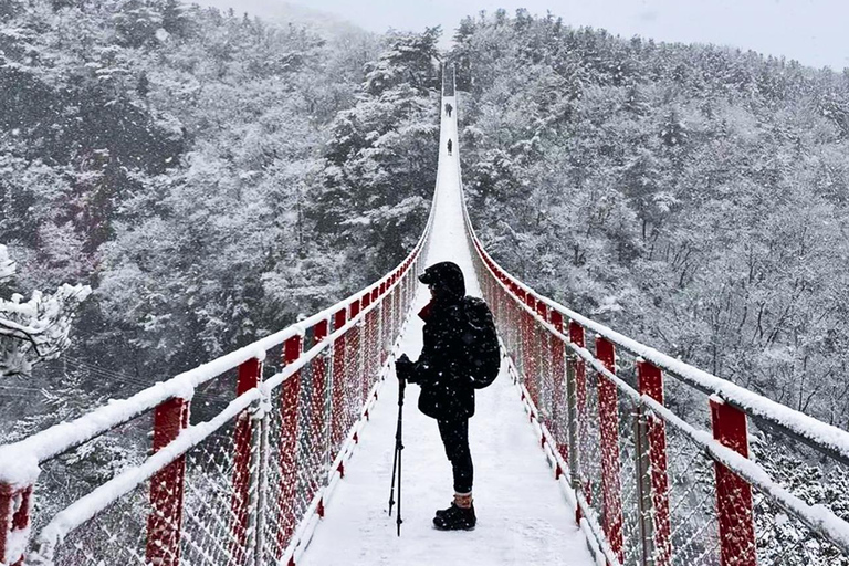 Gamaksan & IceWall Cafe & Eunpyeong HanokVillage & Jingwansa Depart from Hongik Univ. Station Exit 3