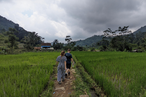 Bandung Countryside Tour: Waterfall, Rice Fields &amp; Culture