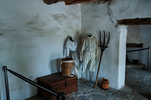 San Antonio Missions Discovery Tour 3.5 Hours