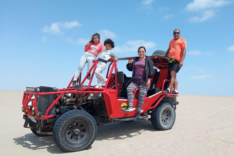 Depuis Lima : excursion d&#039;une journée à Paracas et Huacachina avec transferts