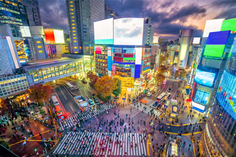 HND Airport Private Transfer to/from Tokyo City Center Arrival: HND Airport to Hotel in Tokyo City Center