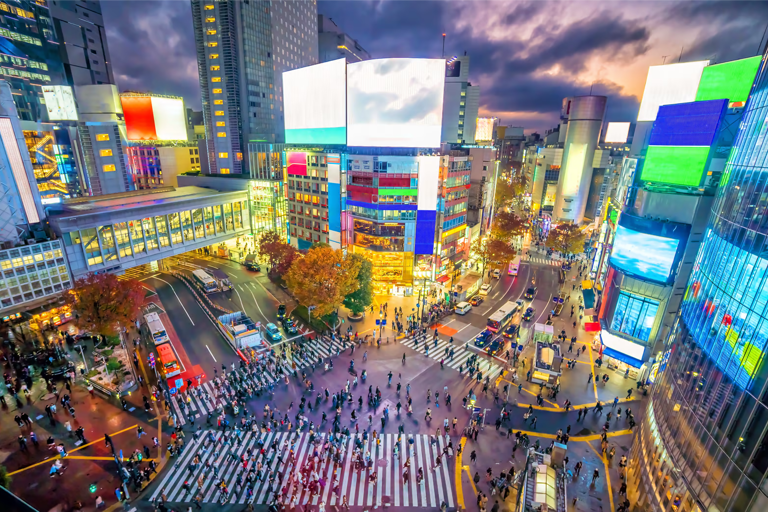 HND Airport Private Transfer to/from Tokyo City Center Arrival: HND Airport to Hotel in Tokyo City Center