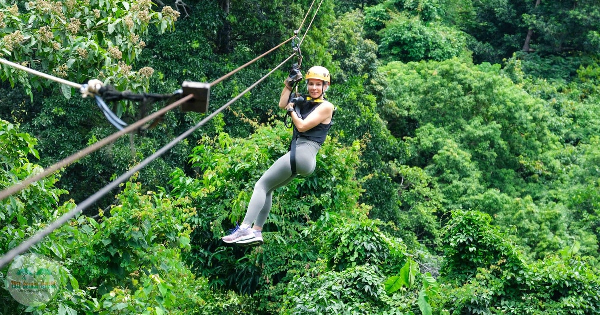 From Koh Samui: Tree Bridge Zipline and Café Experience | GetYourGuide