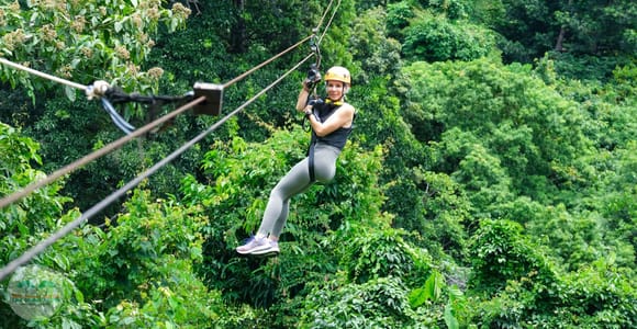 From Koh Samui: Tree Bridge Zipline and Café Experience