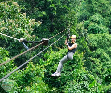 Van Koh Samui: Tree Bridge Zipline en Café Experience