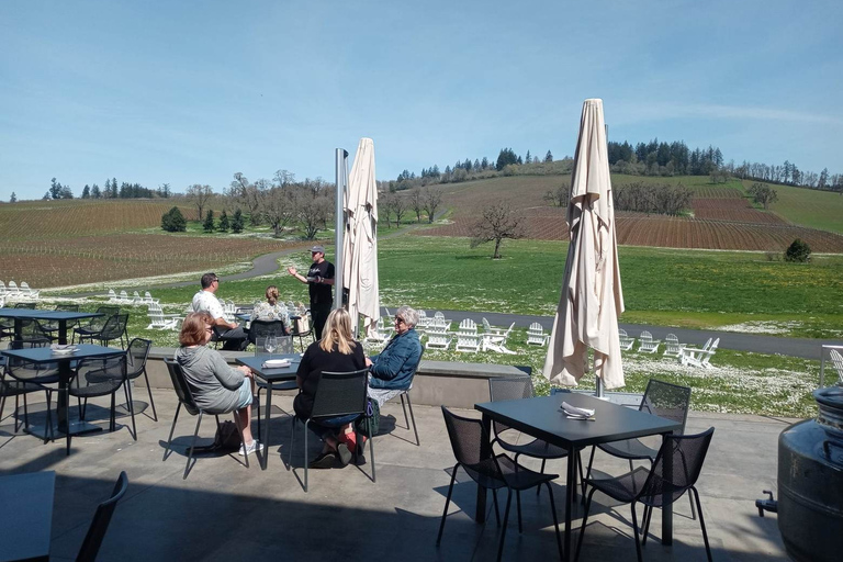 Willamette Valley Wine Tour: Podróż dla zmysłów