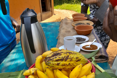 Uganda: Baganda Culture Day Tour with Lunch and Transfers