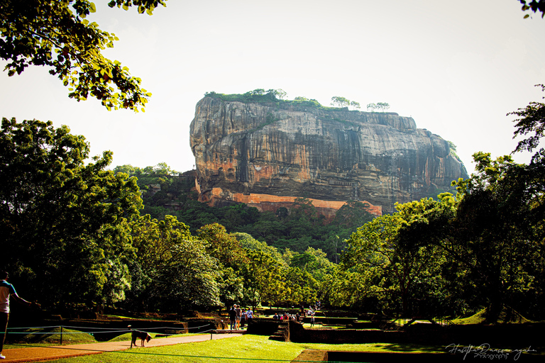 Sigiriya Rock Hike, Village Cookery Experience & Wild Safari