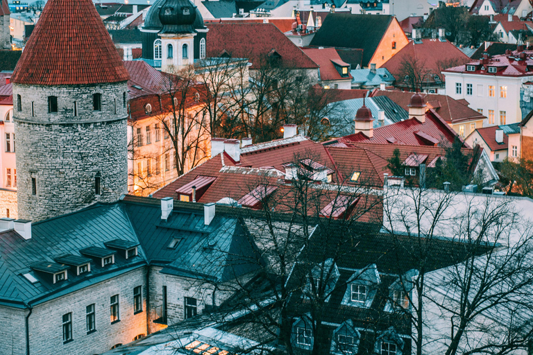 Tallinn: Old Town Tour and Marzipan Workshop