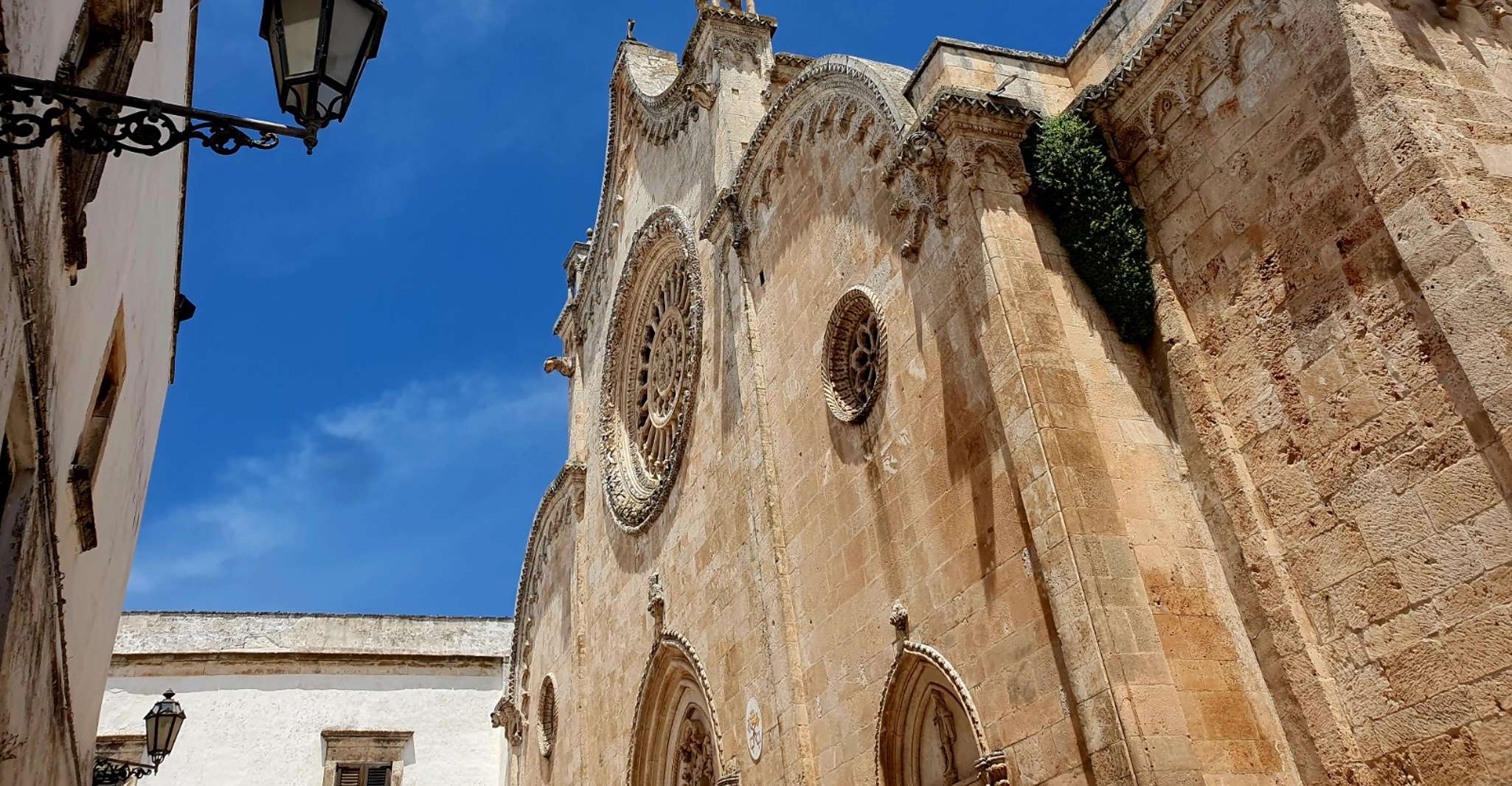 Brindisi: Alberobello, Locorotondo & Ostuni Tour with Brunch photo 10