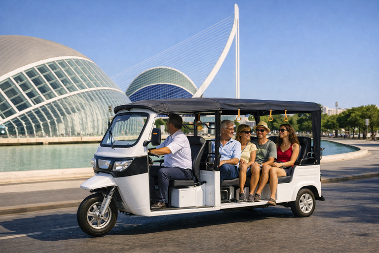 Valencia for Cruise Passengers: 1-Hour Tuk Tuk Tour