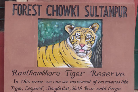 Ranthambore Tiger Safari Tagesausflug von Jaipur - All InclusivePrivates AC Auto mit Transfer