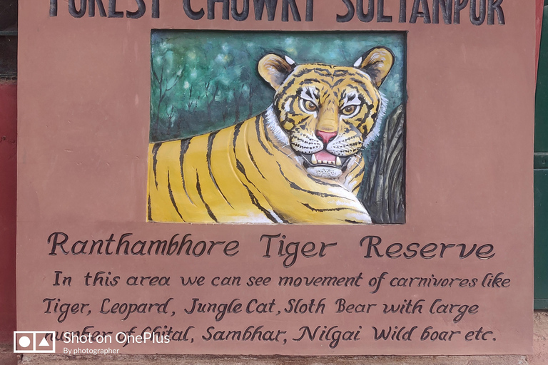 Excursión de un día al Safari del Tigre de Ranthambore desde Jaipur -Todo incluidoCoche AC privado con traslado