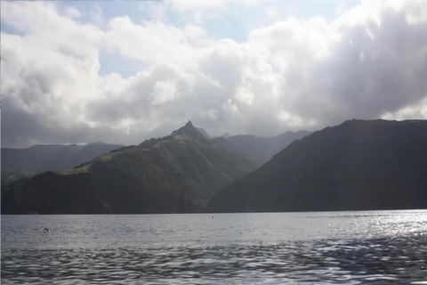 Corvo Island: Full Tour with Boat, Transfers, and Guide Corvo Island: Full Tour with Boat, Transfers, and Guide Included