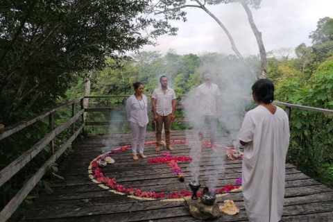 From Palenque: Lacandone Mayan Ceremony Private Experience