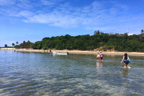 Expérience de pêche en haute mer à Maputo