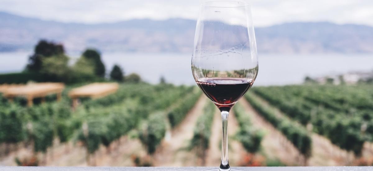 Kefalonia Wine Adventure in 3 Wineries With Tastings GetYourGuide