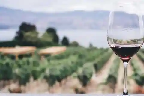 Kefalonia Wine Adventure em 3 vinícolas com degustações
