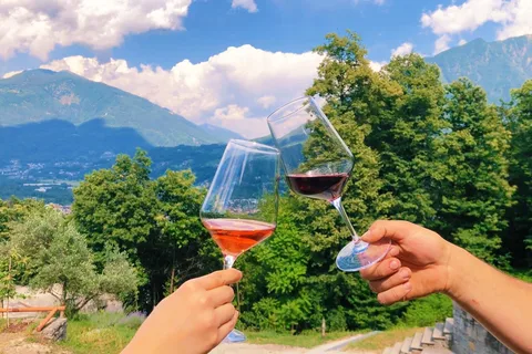 Domodossola: Weine und lokale Köstlichkeiten in einem malerischen Weinberg genießen