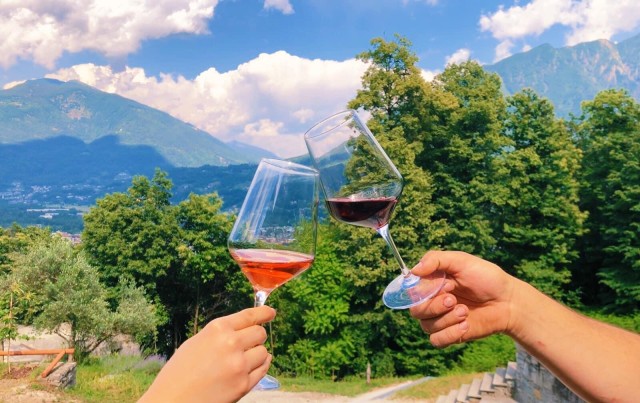 Visit Domodossola Ossola Valley Winery Tour with Tastings in Domodossola, Italy
