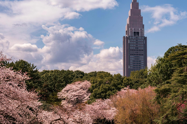Tokyo: Shinjuku Gyoen Cherry Blossom Stroll (Entry Included)