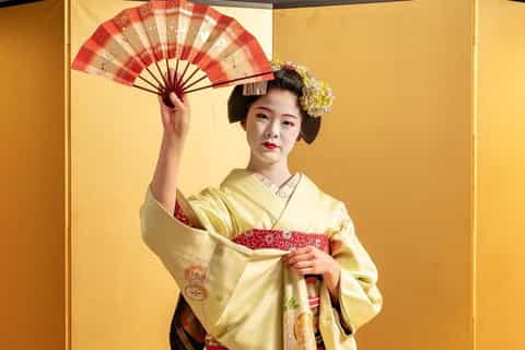 Kyoto: Maiko Dance, Shozan Garden Dinner & Night View Tour - Image 3