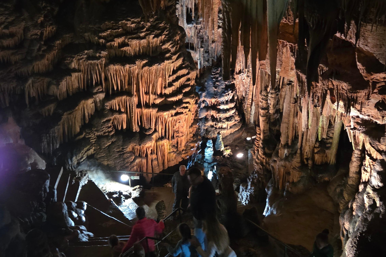 Prohodna CAVE, Saeva Dupka CAVE & Eco Trail Tour from Sofia