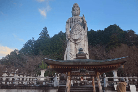 Nara Hidden Gems: Deer, Tsubosaka-dera, Kasuga & Naramachi