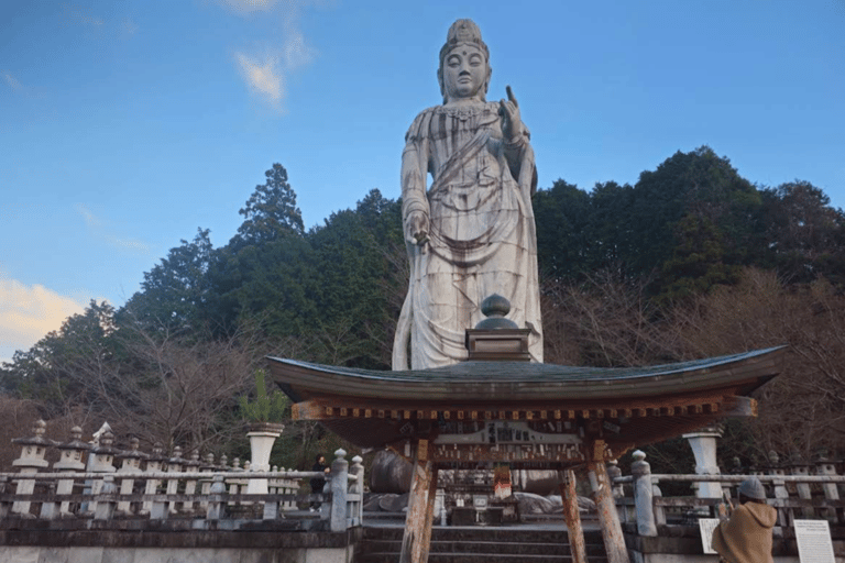 Nara Hidden Gems: Deer, Tsubosaka-dera, Kasuga & Naramachi