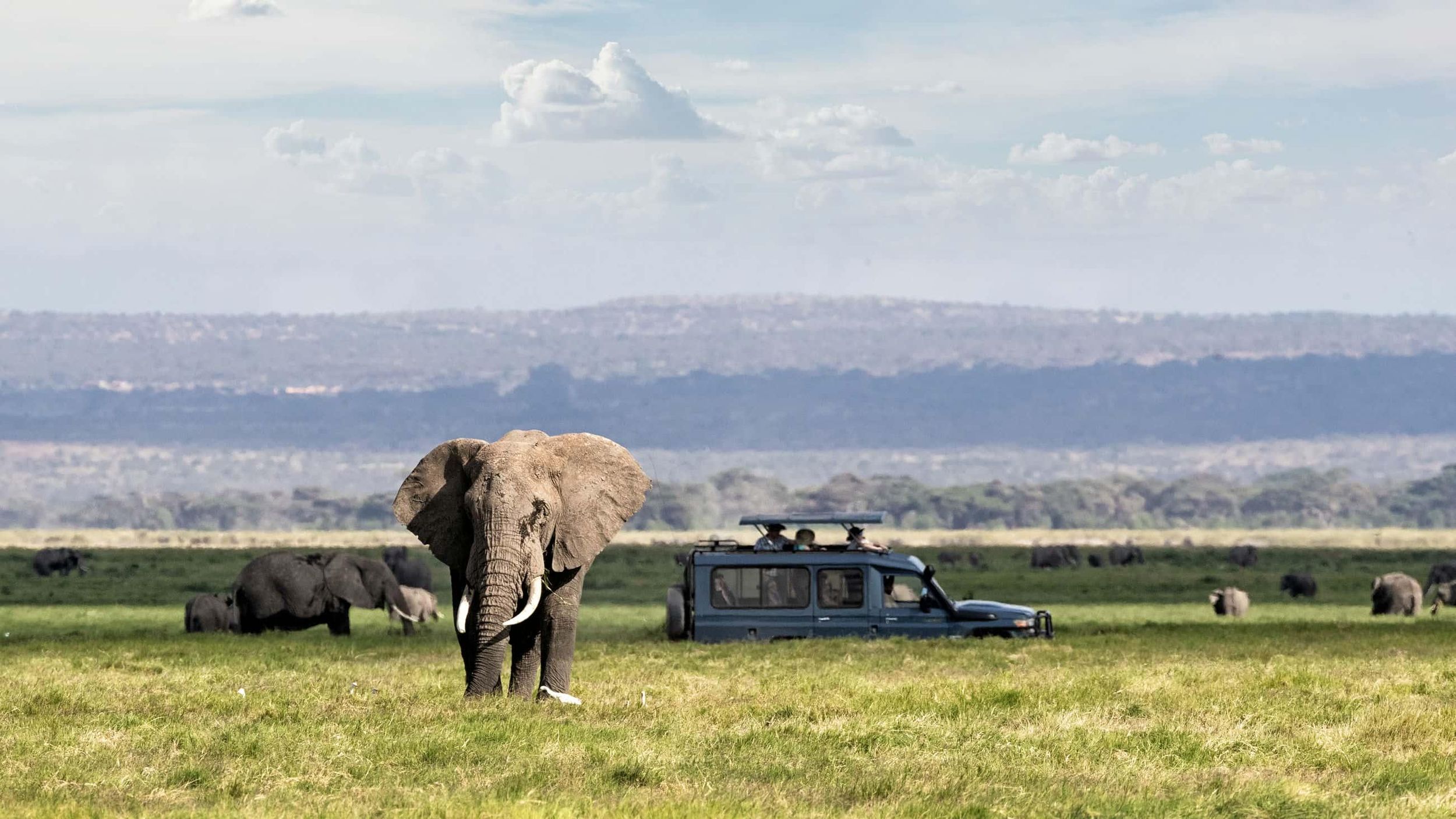 Tagestour zum Ngorongoro-Krater – Gruppensafari.