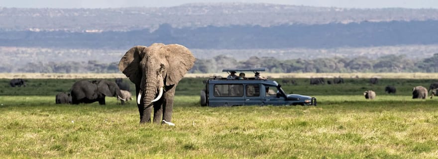 Excursion d'une journée dans le cratère du Ngorongoro Safari en groupe.